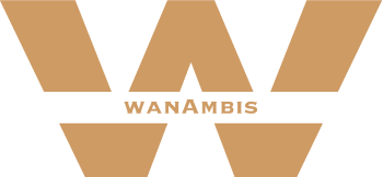 wanAmbis logo